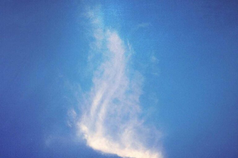 Exercitationem libero eum dolores iure et quo nulla